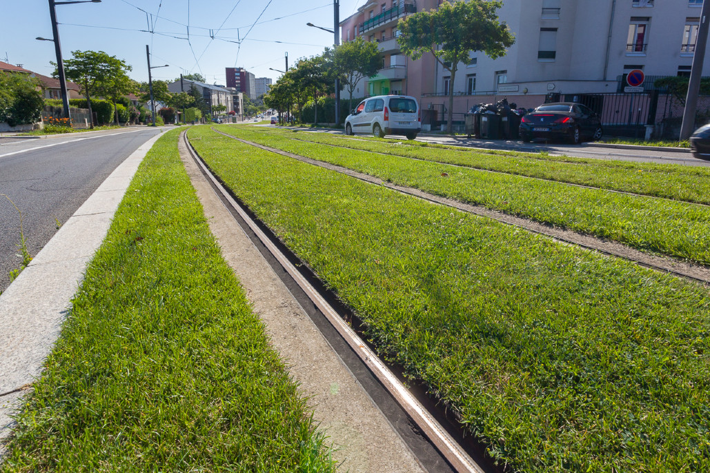 Entretien des espaces verts du tramway T4 et surlargeurs. 3