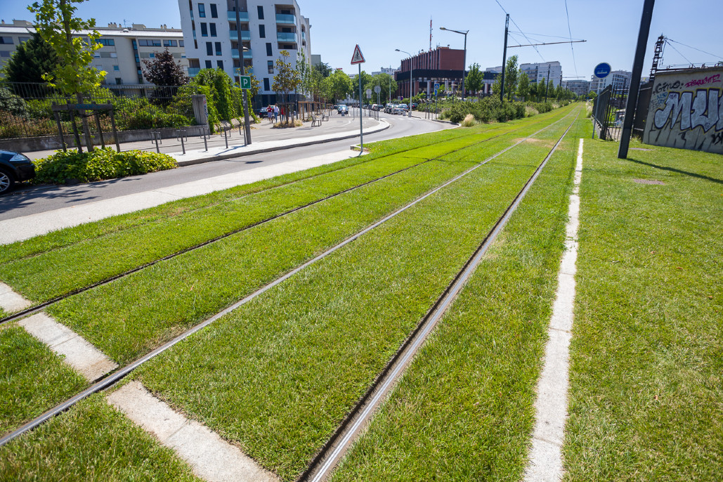 Entretien des espaces verts du tramway T4 et surlargeurs. 4