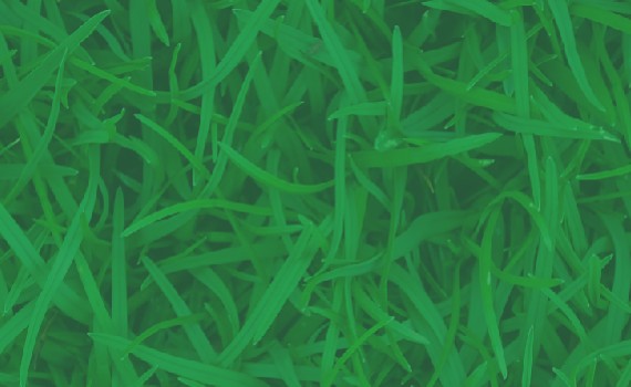 <strong>Entretien</strong><br>des espaces<br>verts