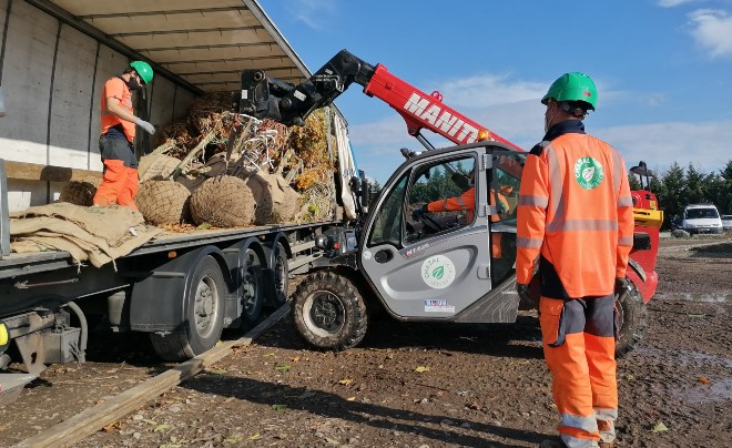 Quand l'Arbre reprend racine dans la Ville