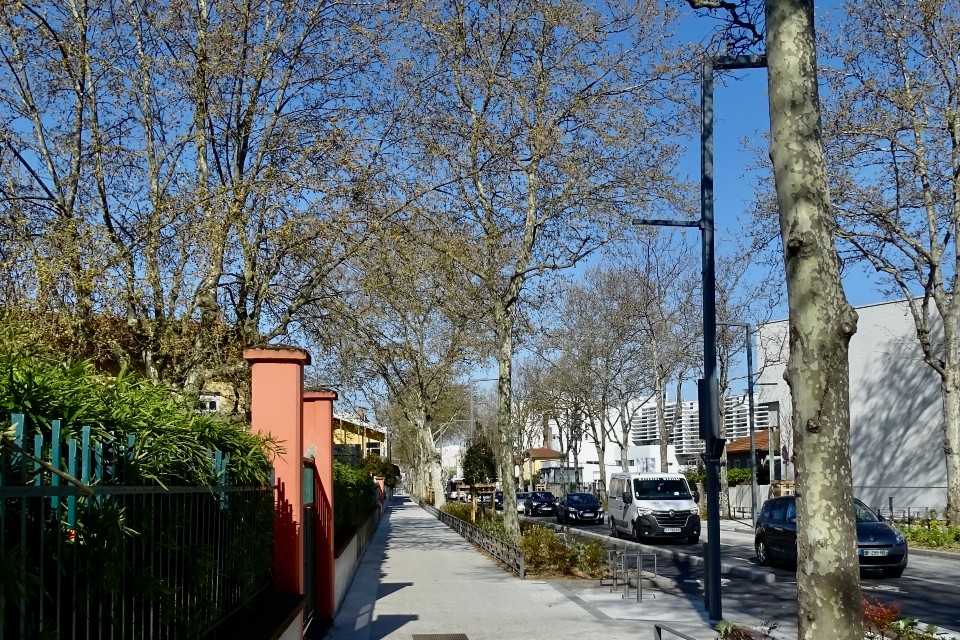 Transformation du Cours Emile Zola à Villeurbanne