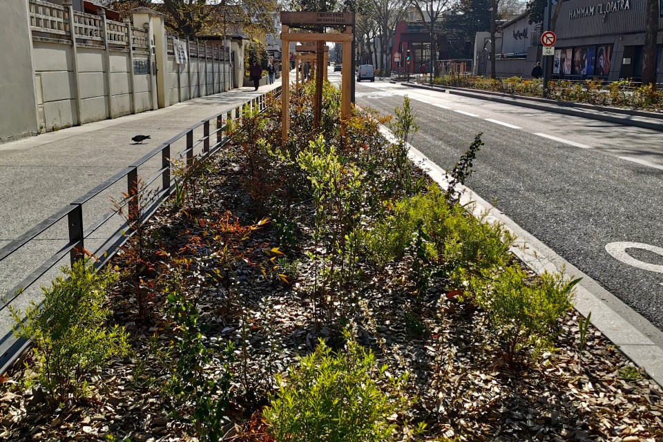 Transformation du Cours Emile Zola à Villeurbanne