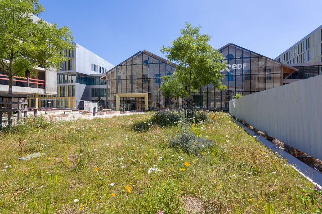 Réhabilitation petite Halle Rue de Gerland - Lot 14 VRD espaces verts 1