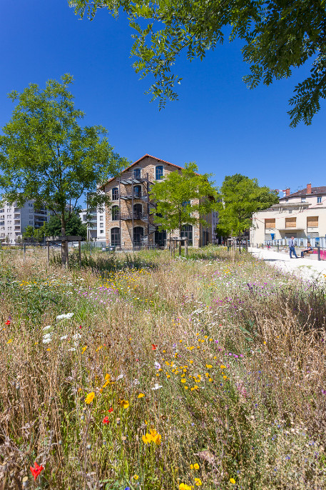 Réhabilitation petite Halle Rue de Gerland - Lot 14 VRD espaces verts 6