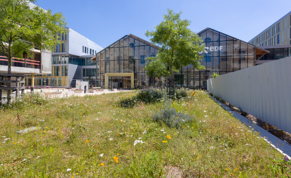 Réhabilitation petite Halle Rue de Gerland - Lot 14 VRD espaces verts