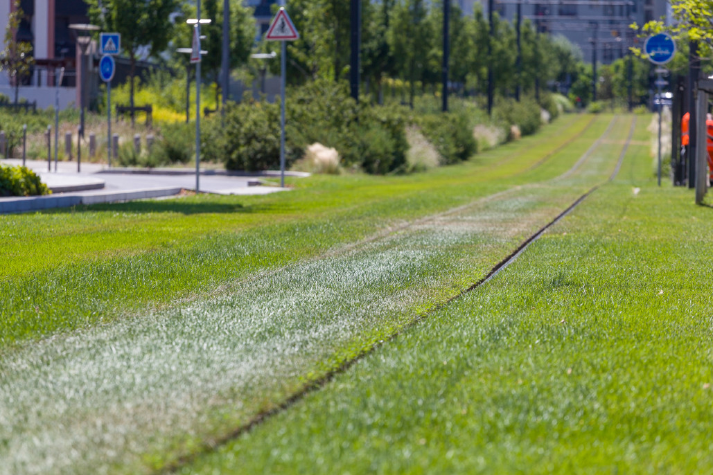 Entretien des espaces verts du tramway T4 et surlargeurs. 5