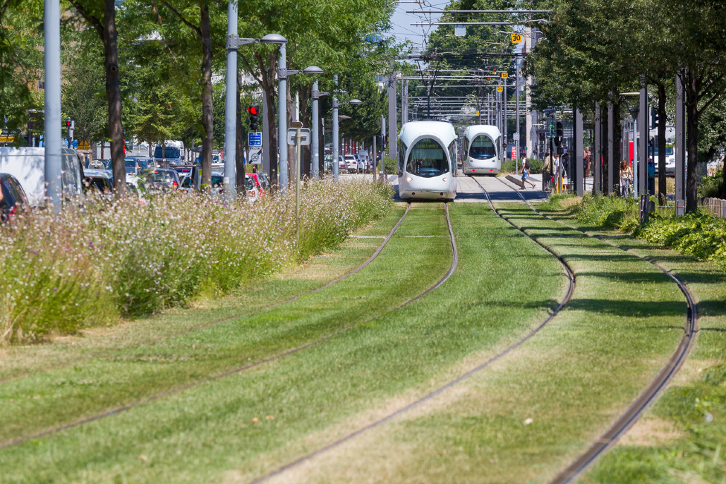 Entretien des espaces verts du tramway T4 et surlargeurs. 6