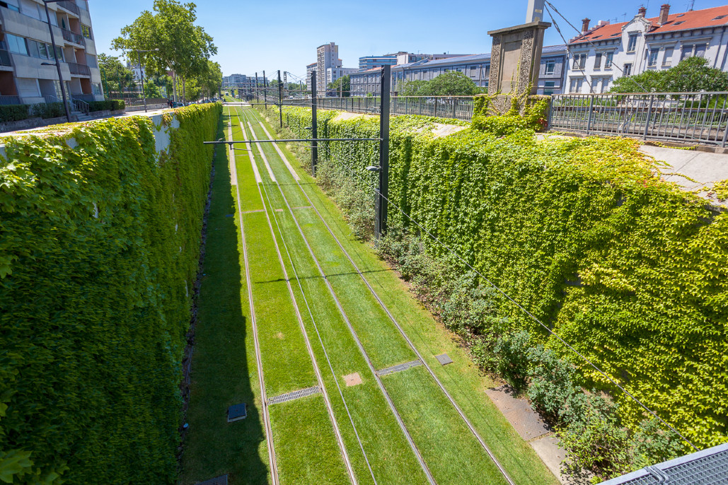 Entretien des espaces verts du tramway T4 et surlargeurs. 7