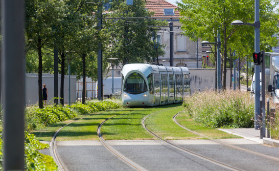 Entretien des espaces verts du tramway T4 et surlargeurs.