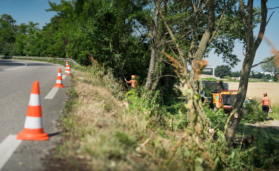 Travaux de taille et d’entretien des dépendances vertes et boisements des voiries